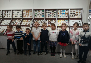 Dzieci stoja przy kolekcji motyli